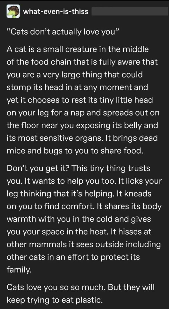 That Face You Make When...