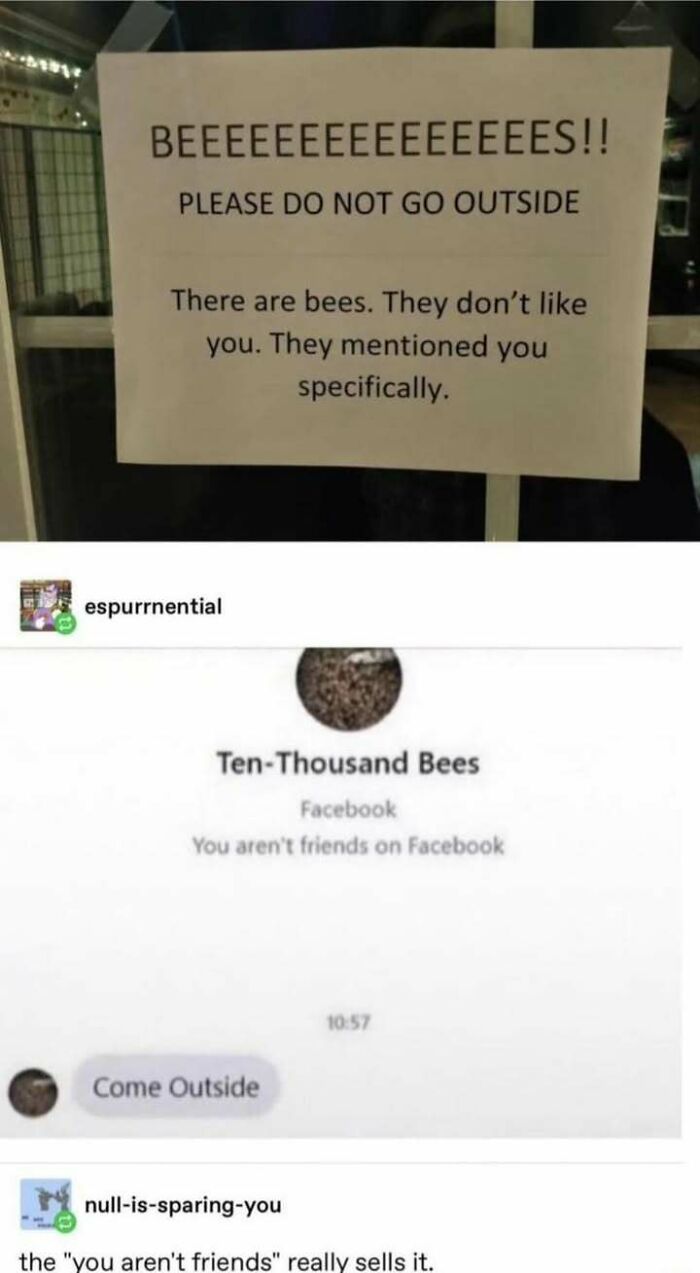 Bee My Friend, Pretty Please