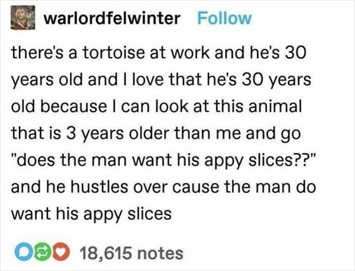 Appy Slices That Totally Get You