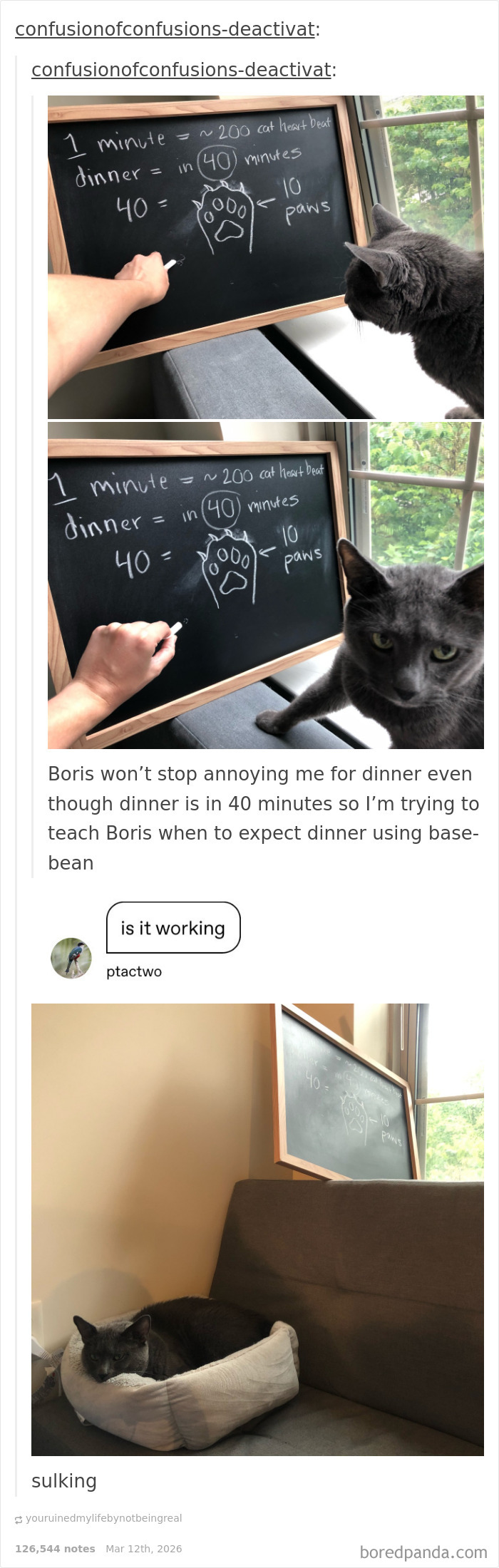 Boris and His Time Problems