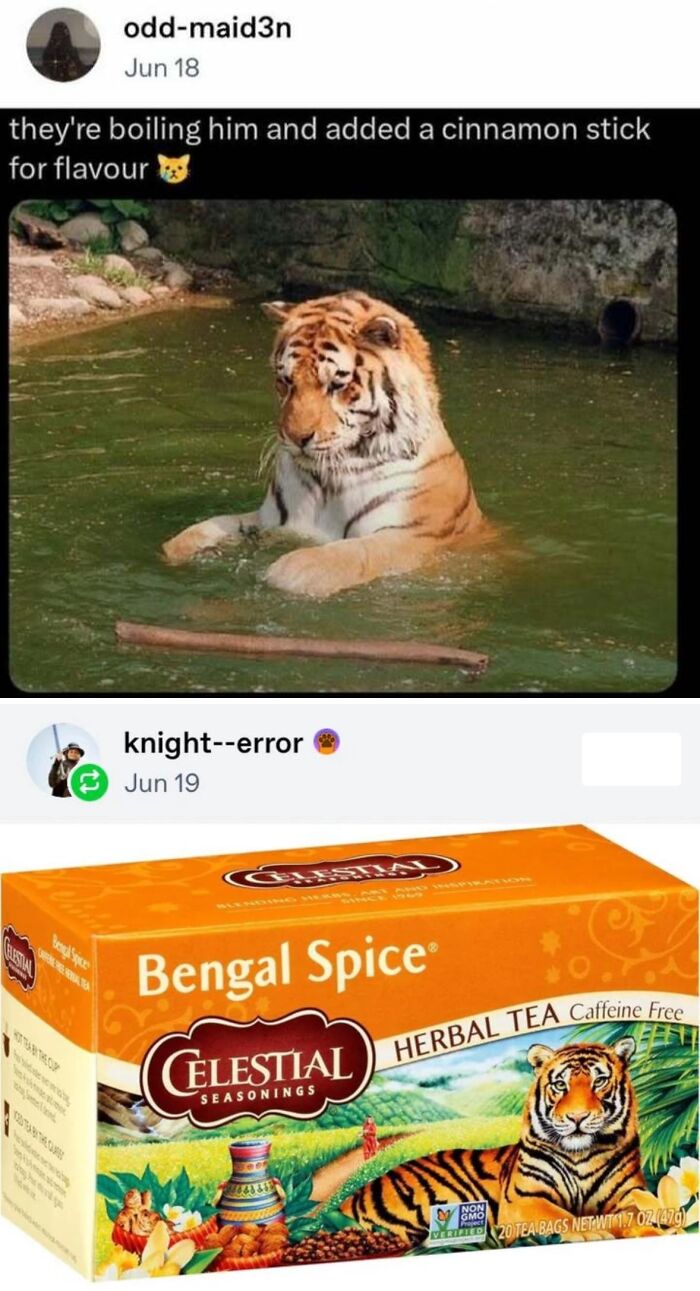 No! Don’t Do This! Let Him Go!