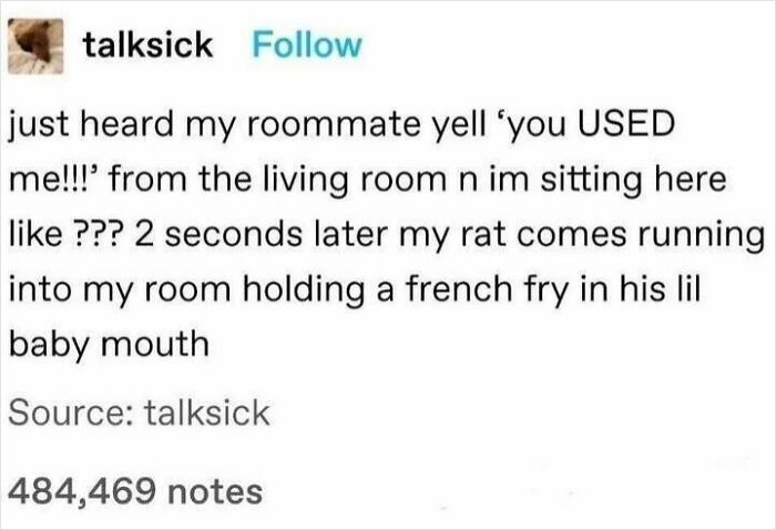 Aww Rats, That’s Cute