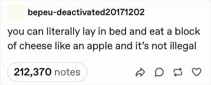 Real Cheese Hours, Always