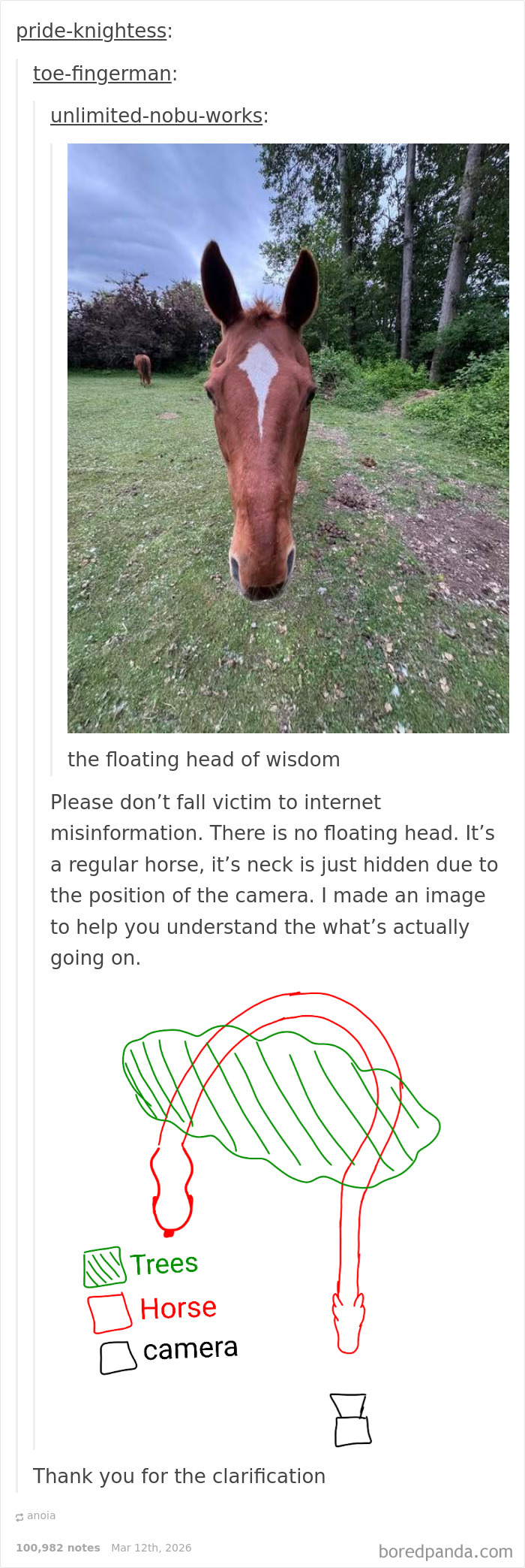 Clearing Things Up Like A Pro