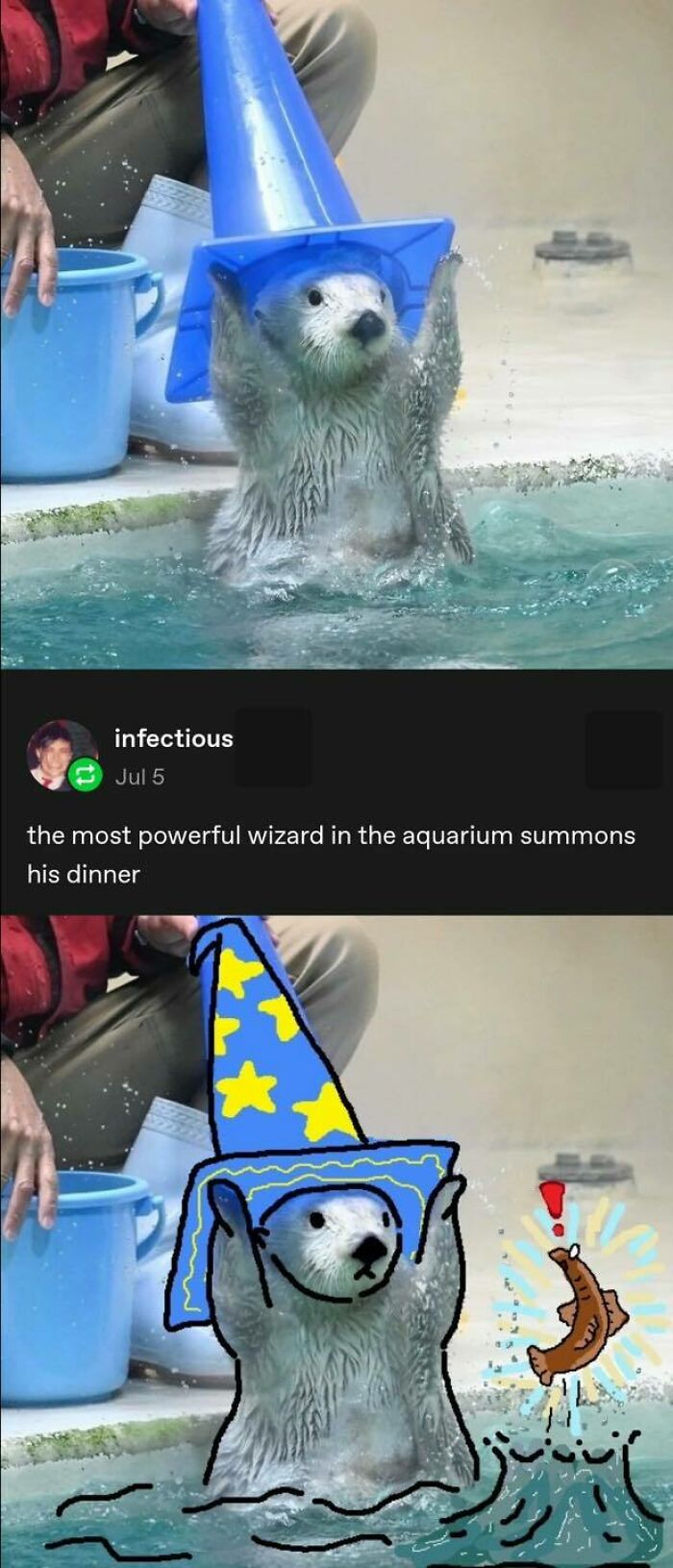 Harry Otter, The Hero We Needed