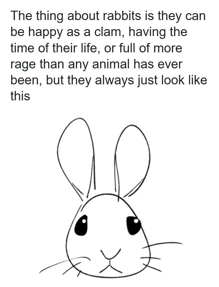 Rabbits Are The Queens of Resting B Face