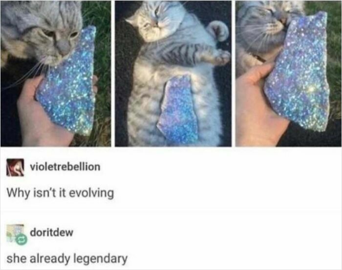 Already A Legend in the Making