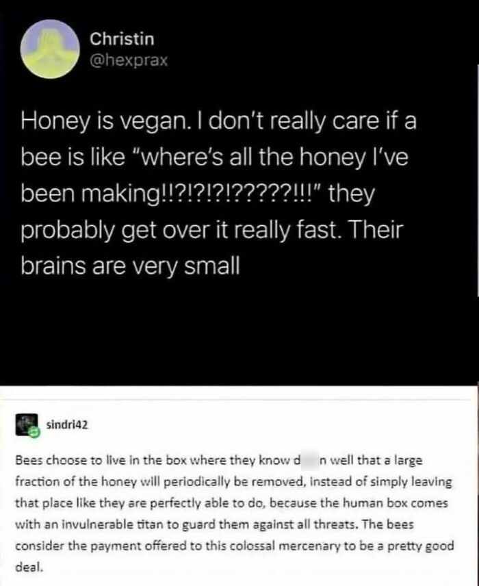 Protector of the Bees, Superhero Style