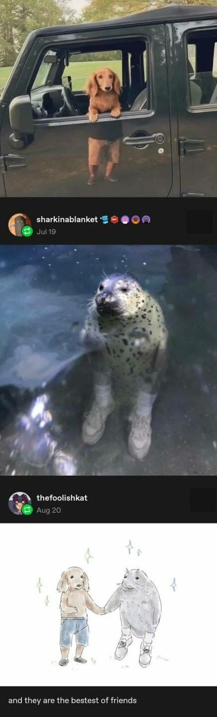 Water Puppy Meets Land Seal: Instant Besties