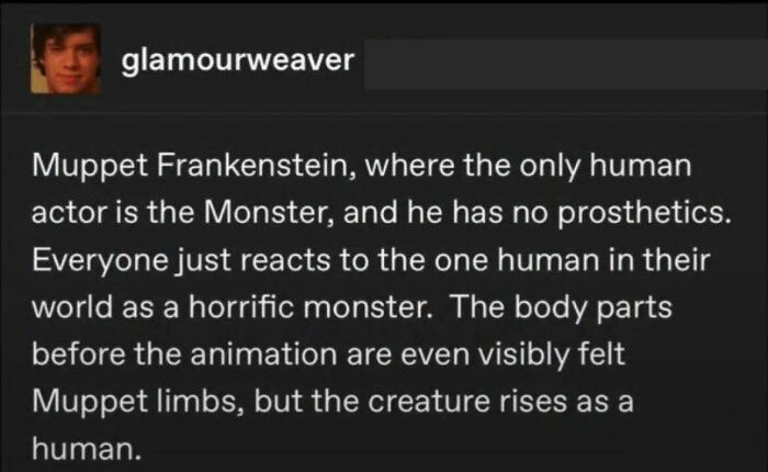 Muppet Frankenstein Is A Thing Now