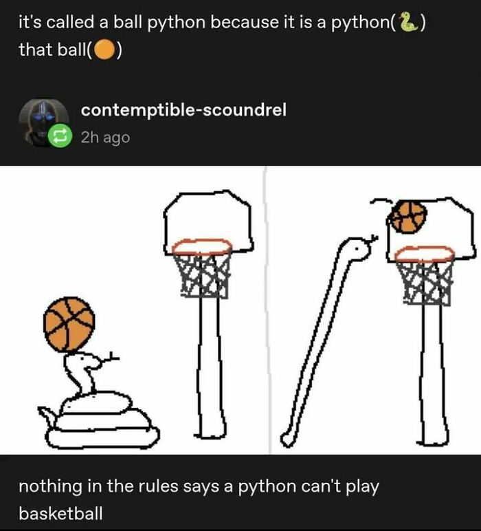 He Be Ballin’ Like A Pro