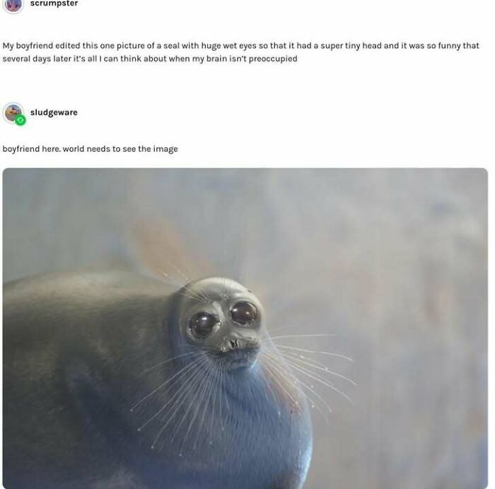 That’s One Sassy Look!