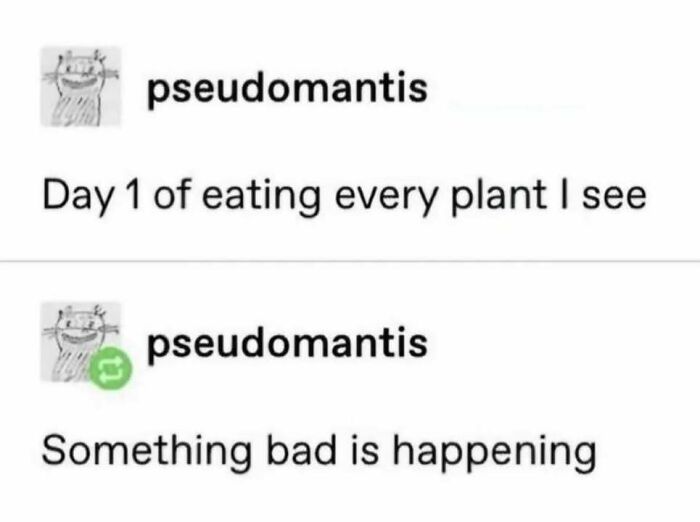 Uh Oh, This Can’t Be Good