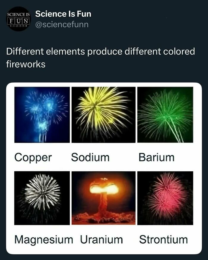 Wait, They Actually Ranked These Science Memes?!