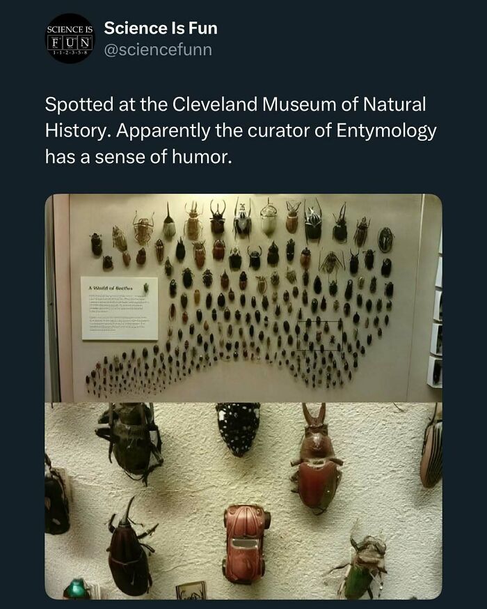 Wait, They Actually Ranked These Science Memes?!
