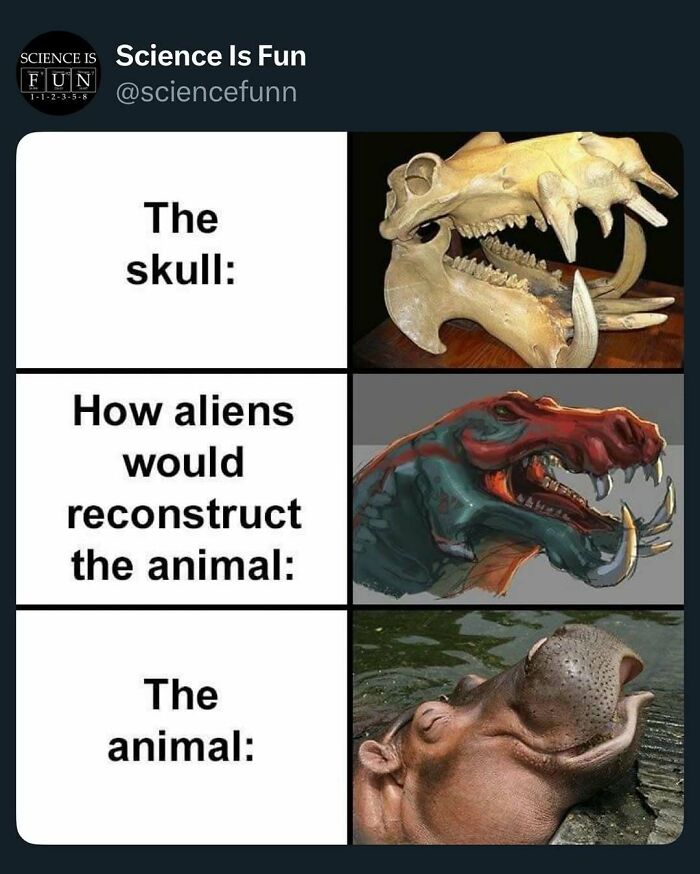 Wait, They Actually Ranked These Science Memes?!