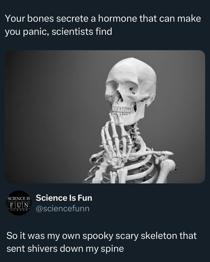 Wait, They Actually Ranked These Science Memes?!