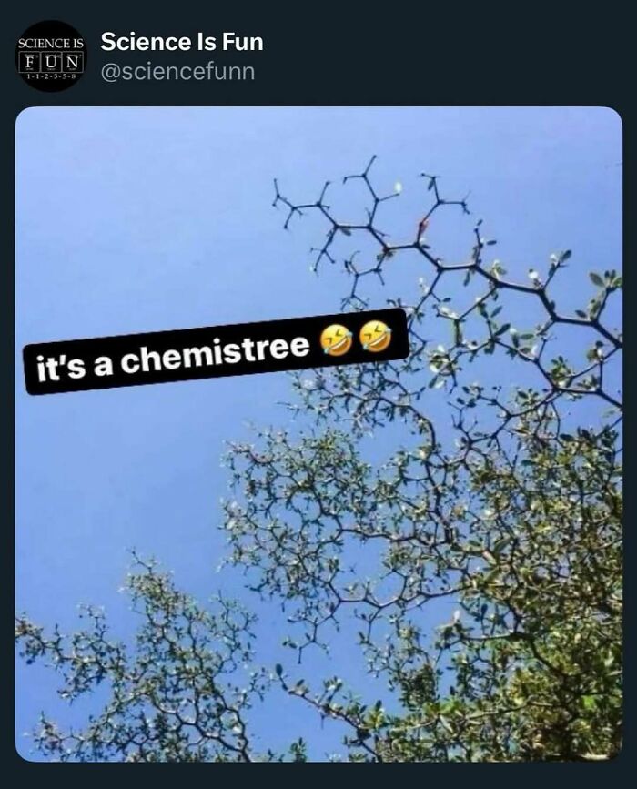 Wait, They Actually Ranked These Science Memes?!
