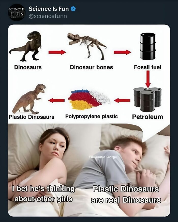 Wait, They Actually Ranked These Science Memes?!