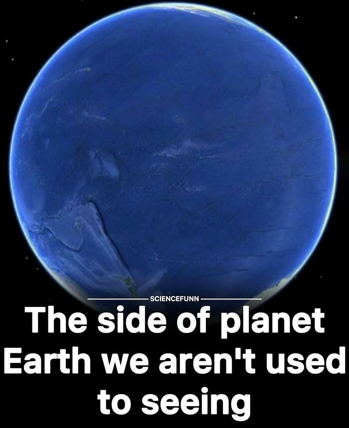Wait, They Actually Ranked These Science Memes?!