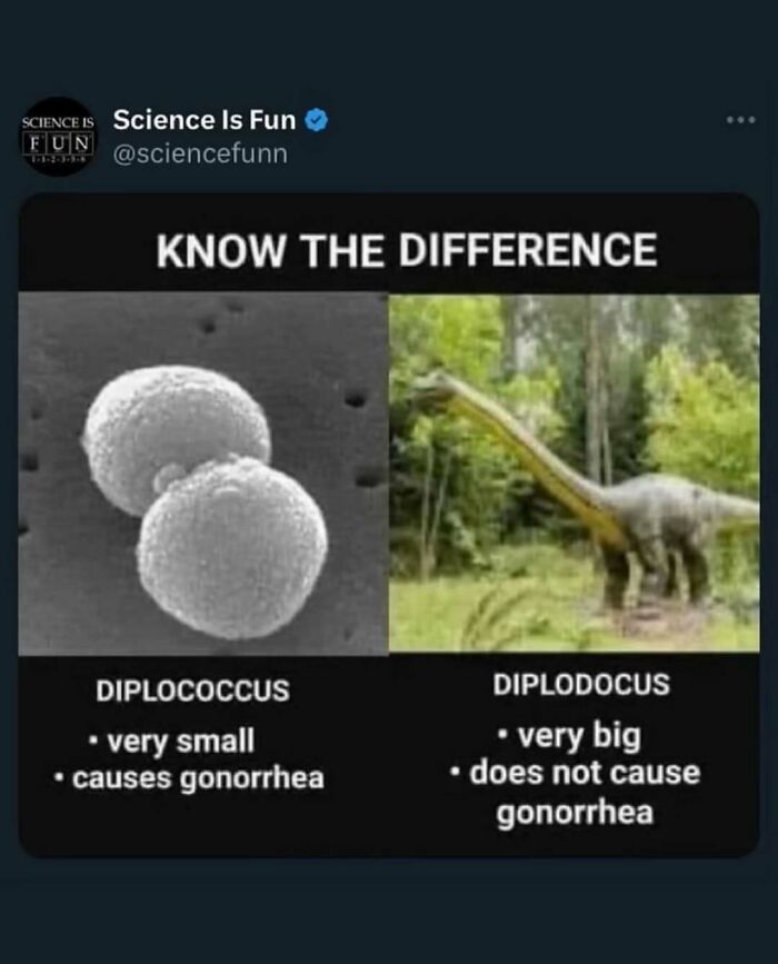 Wait, They Actually Ranked These Science Memes?!