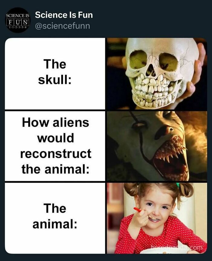 Wait, They Actually Ranked These Science Memes?!