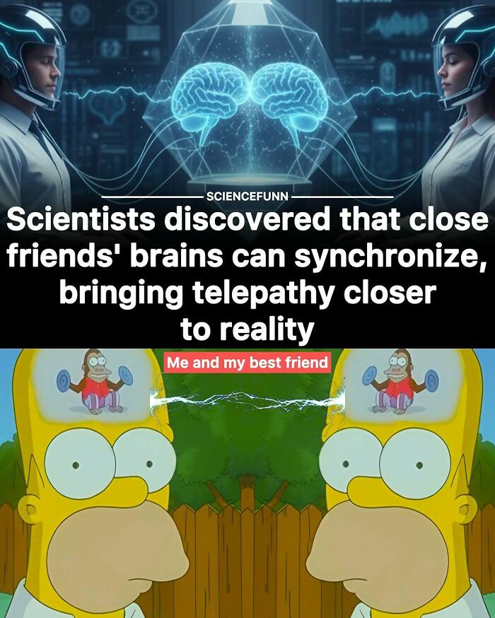 Wait, They Actually Ranked These Science Memes?!