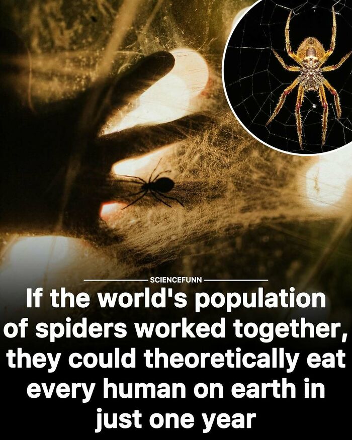 Wait, They Actually Ranked These Science Memes?!