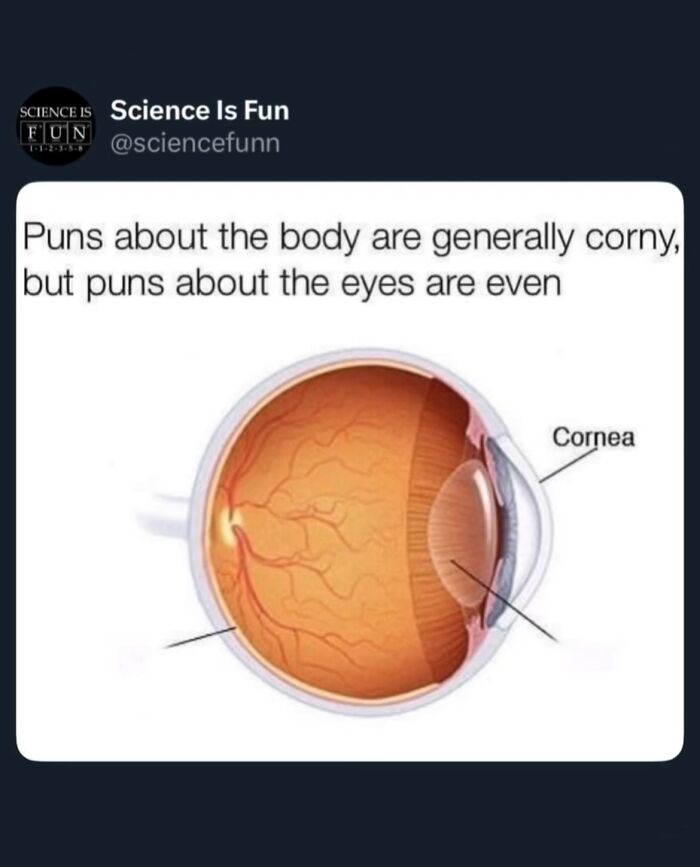 Wait, They Actually Ranked These Science Memes?!