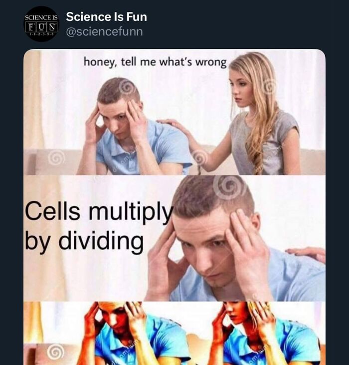 Wait, They Actually Ranked These Science Memes?!