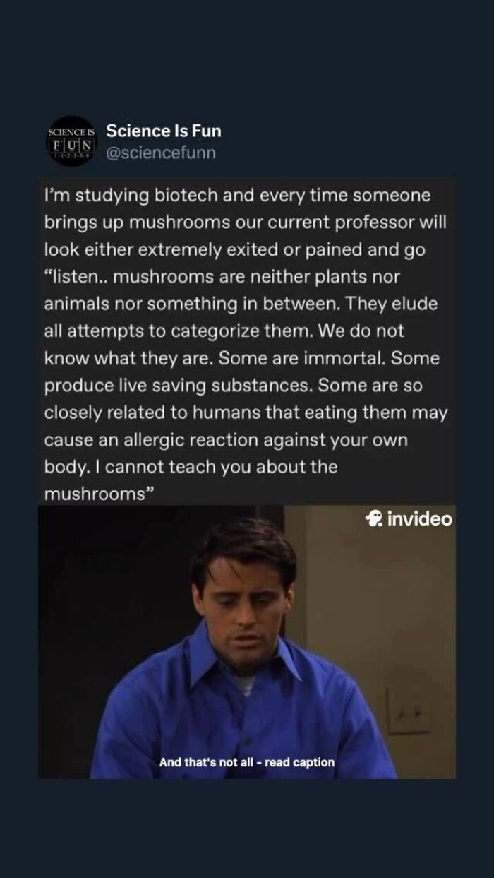 Wait, They Actually Ranked These Science Memes?!