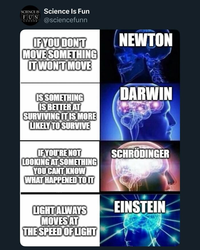 Wait, They Actually Ranked These Science Memes?!