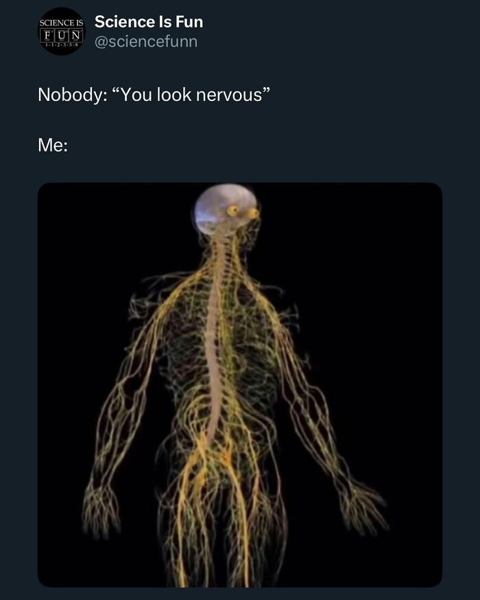 Wait, They Actually Ranked These Science Memes?!