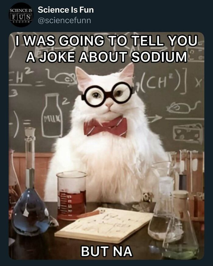 Wait, They Actually Ranked These Science Memes?!