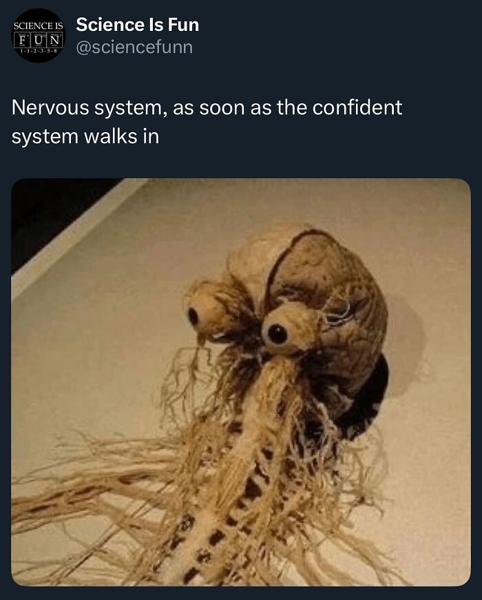 Wait, They Actually Ranked These Science Memes?!