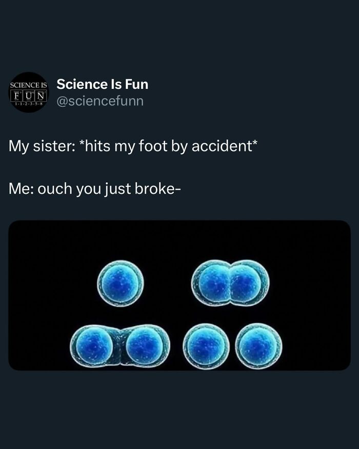 Wait, They Actually Ranked These Science Memes?!
