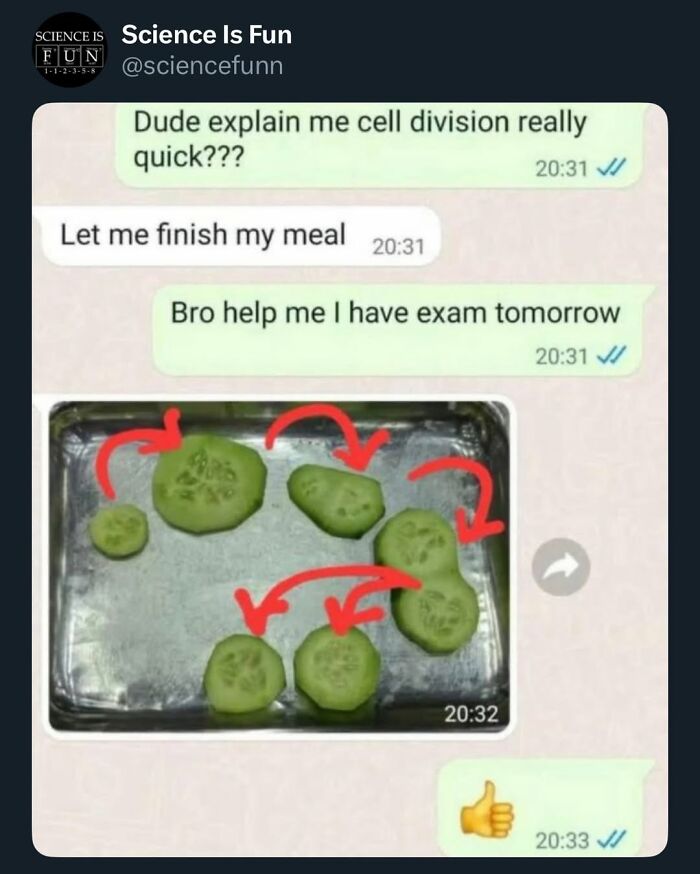 Wait, They Actually Ranked These Science Memes?!