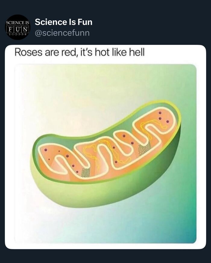 Wait, They Actually Ranked These Science Memes?!