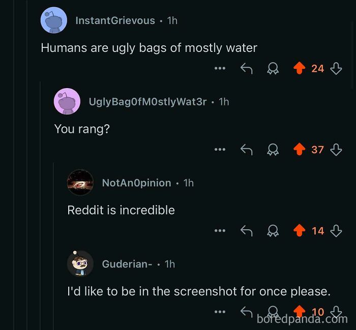 Ugly Bag of Mostly Water? Sounds Rude But Funny!