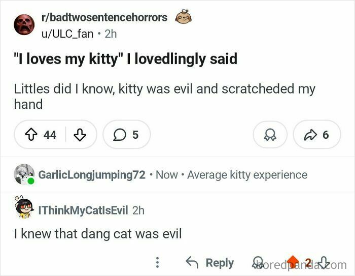 Evil Cat Strikes Back