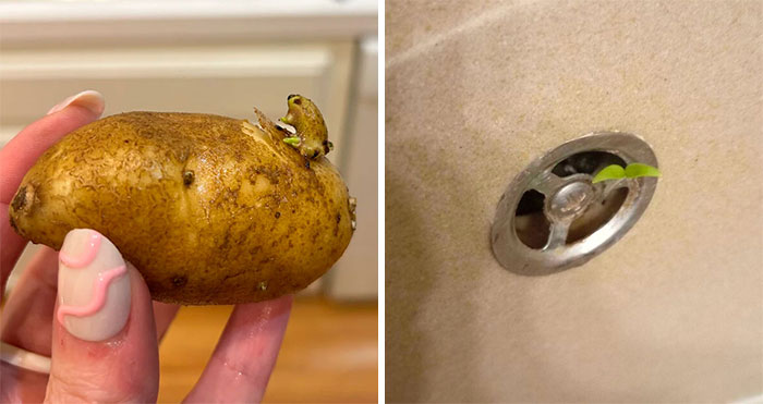 Wait, People Actually Found This Stuff?!