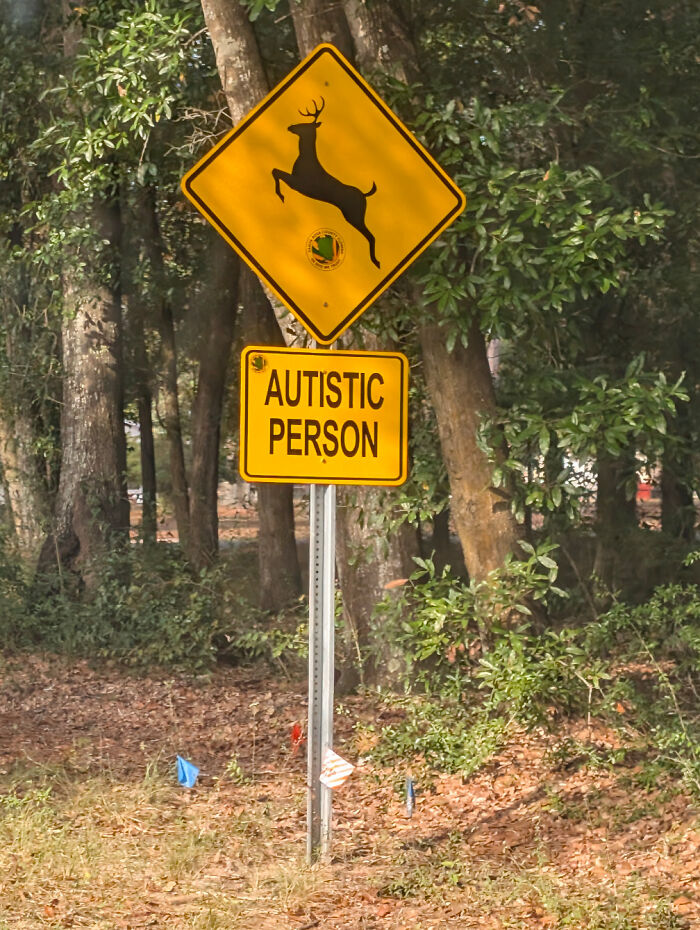 Deer Gets Diagnosed?!