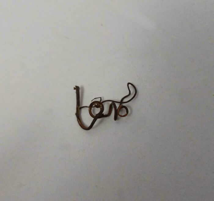 Found A Tiny Tree Branch That Spells "Love" Naturally