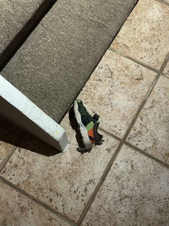 Toddler Shoes Found At Bottom Of Stairs. But We Don’t Have Kids!