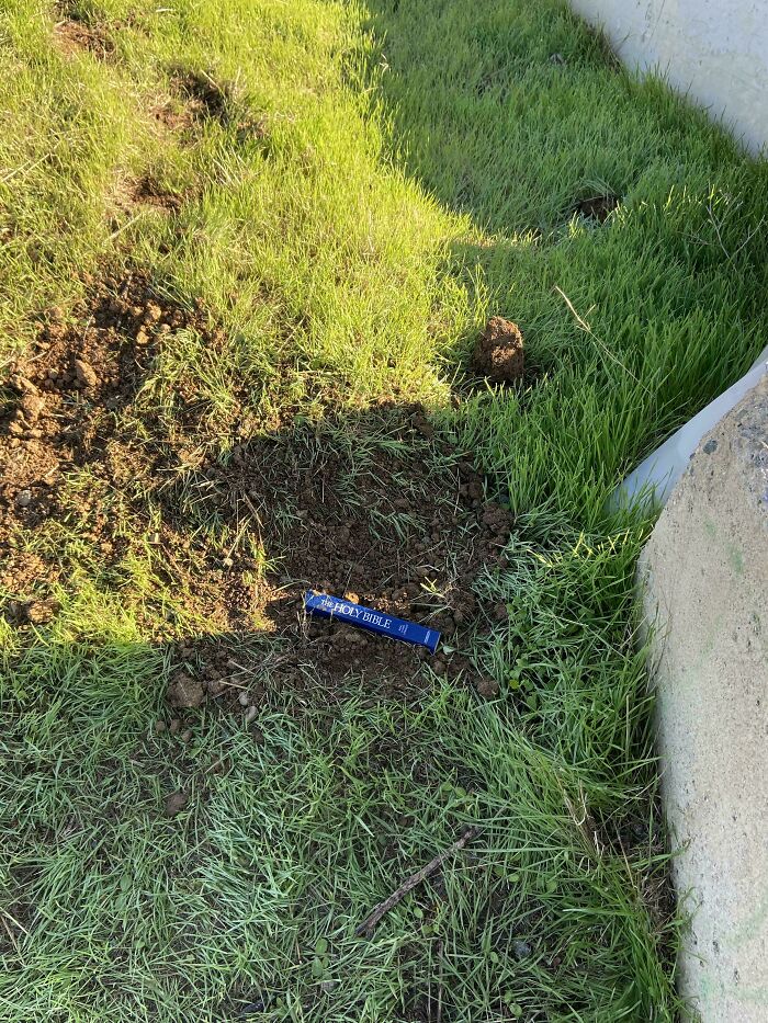 Why Bury A Bible Like This? Weird!