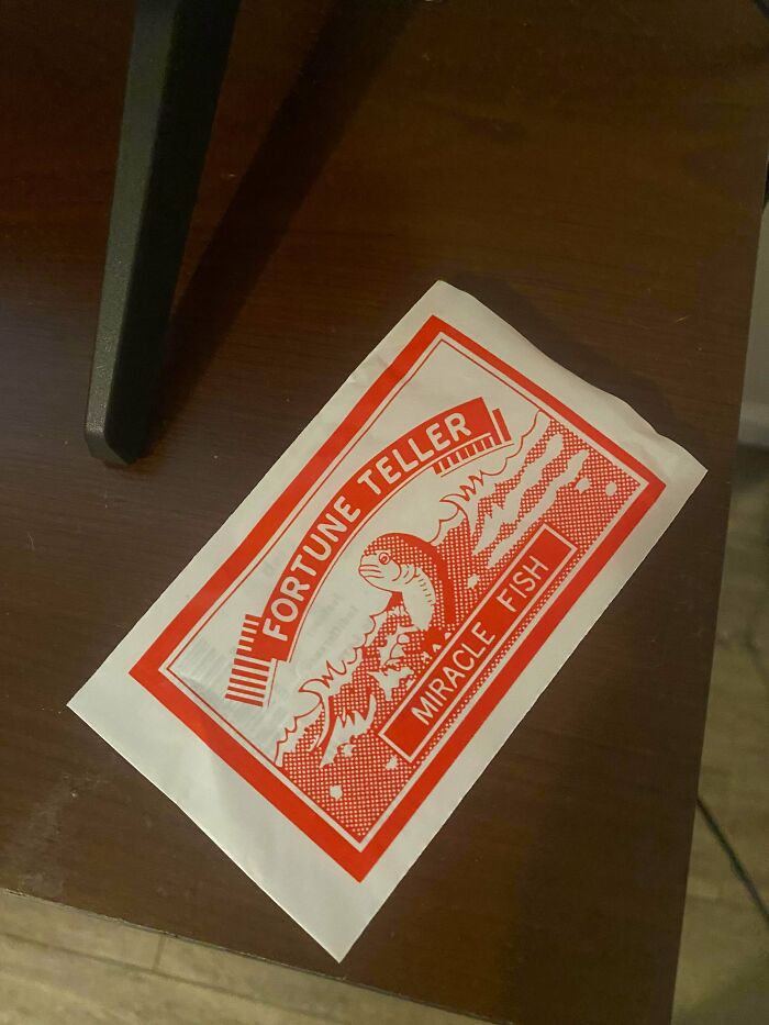 Went To Bathroom And Found A Fortune Teller Fish On The Floor!