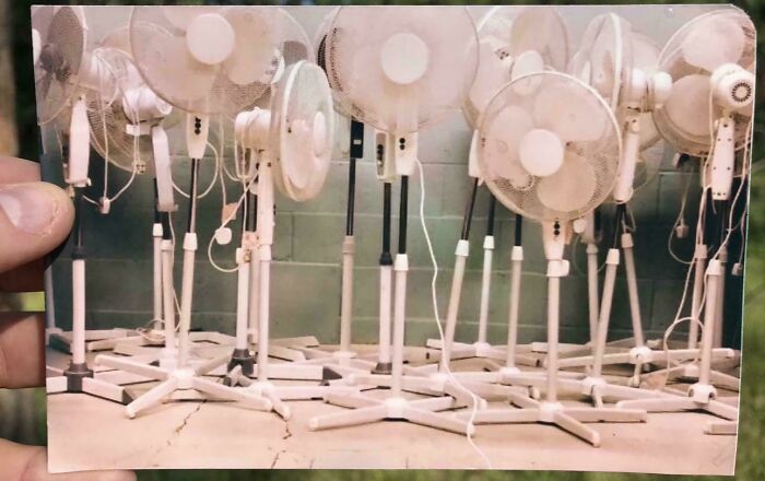 Picture Of Fans (Not The People, The Machines)