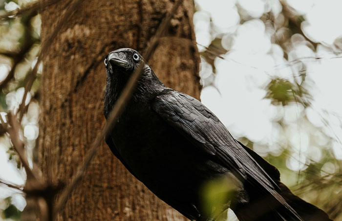 35 Wild Stories That'll Have You Saying 'No Way!'