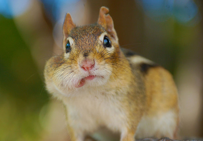 35 Wild Stories That'll Have You Saying 'No Way!'