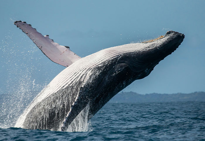 35 Wild Stories That'll Have You Saying 'No Way!'